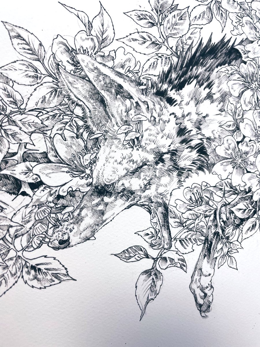 いい顔で描けてる! 