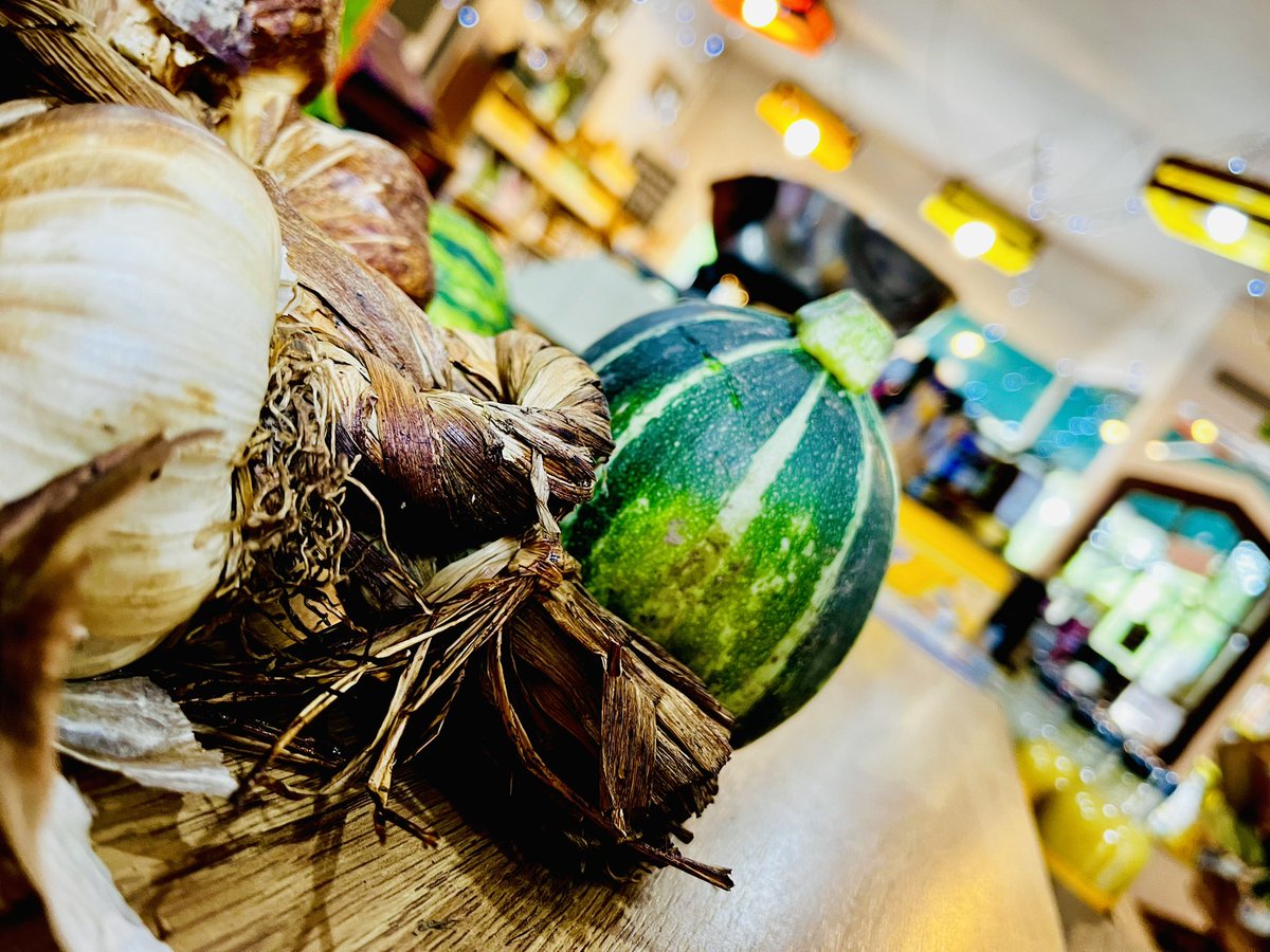 David and Monica Adventures tweet media