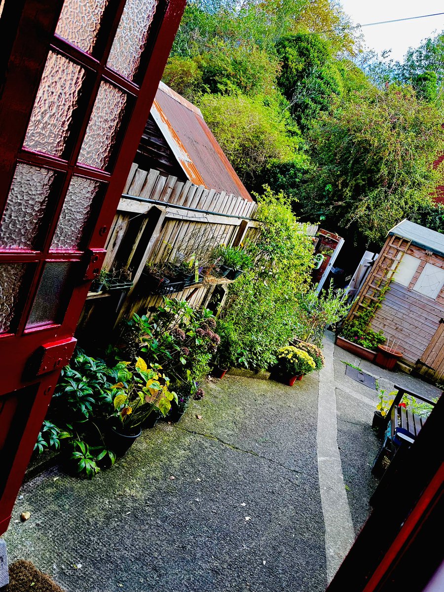 David and Monica Adventures tweet media