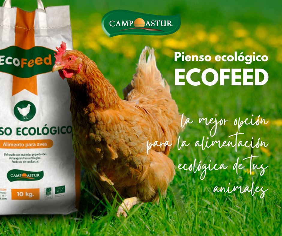 EcoFeed es nuestra marca de piensos ecológicos fabricados con materias primas de la agricultura ecológica y certificados por COPAE. Disponemos de una amplia variedad de piensos especialmente formulados para optimizar tu ganado y distintas presentaciones de nuestros productos.