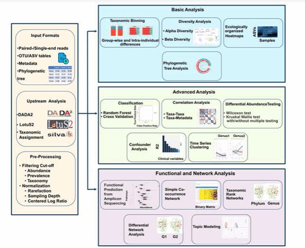 📖Namco by @alexdietrich_ @mail2steff @itisalist et al. is a new web tool for comprehensive and user-friendly analysis of 16S data from raw processing down to classification, functional and network analysis. Find out more in #MGen: doi.org/10.1099/mgen.0…