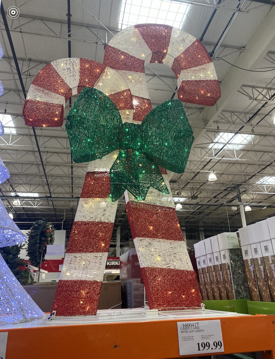 Morgan Kolkmeyer tweet media