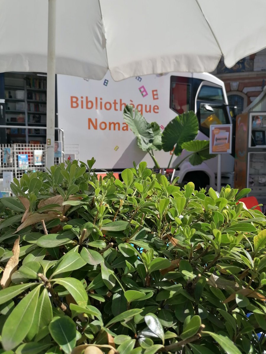 bibliobus_tlse's tweet photo. [SENIORS ET +] et hop le bibliobus vous attend sur la place du Capitole avec plein de surprises 😀✨🚍🌿 https://t.co/y2uZJQRWPS