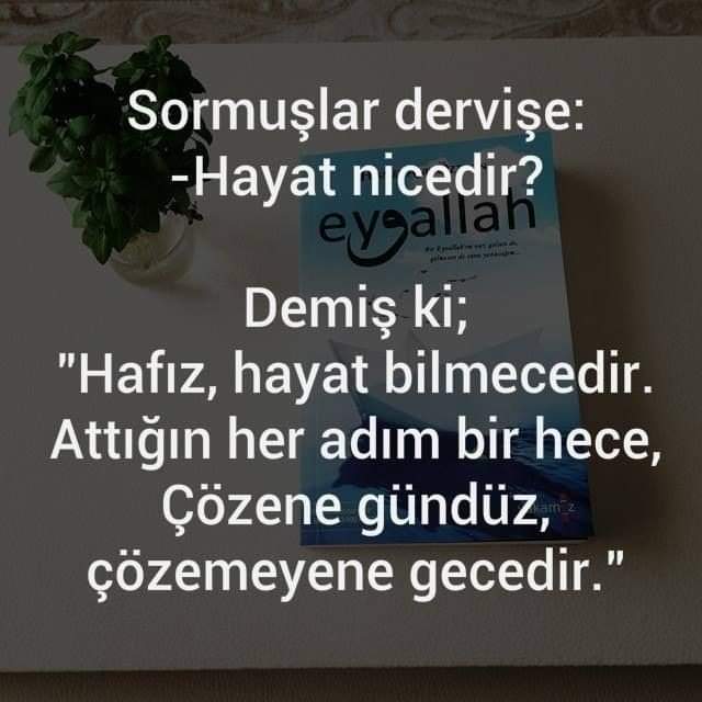 Hayat sırını  çözebilsek, 
Rojbaş,
Gùnaydin,