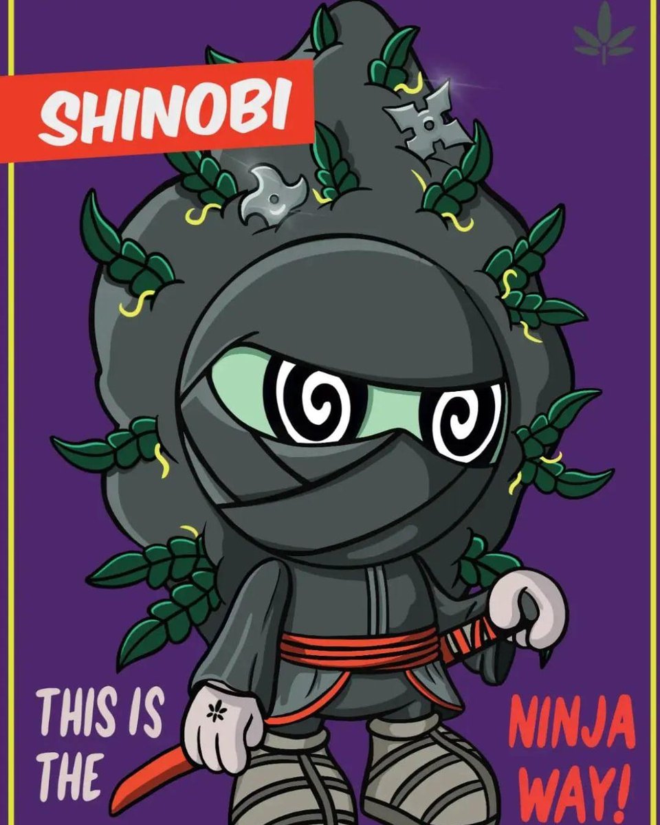 PUFFSCOUTS's tweet photo. SHINOBI 🥷🏻
#shinobi #ninjas #naruto #ninja #kinjaz https://t.co/O0hBxU1sck