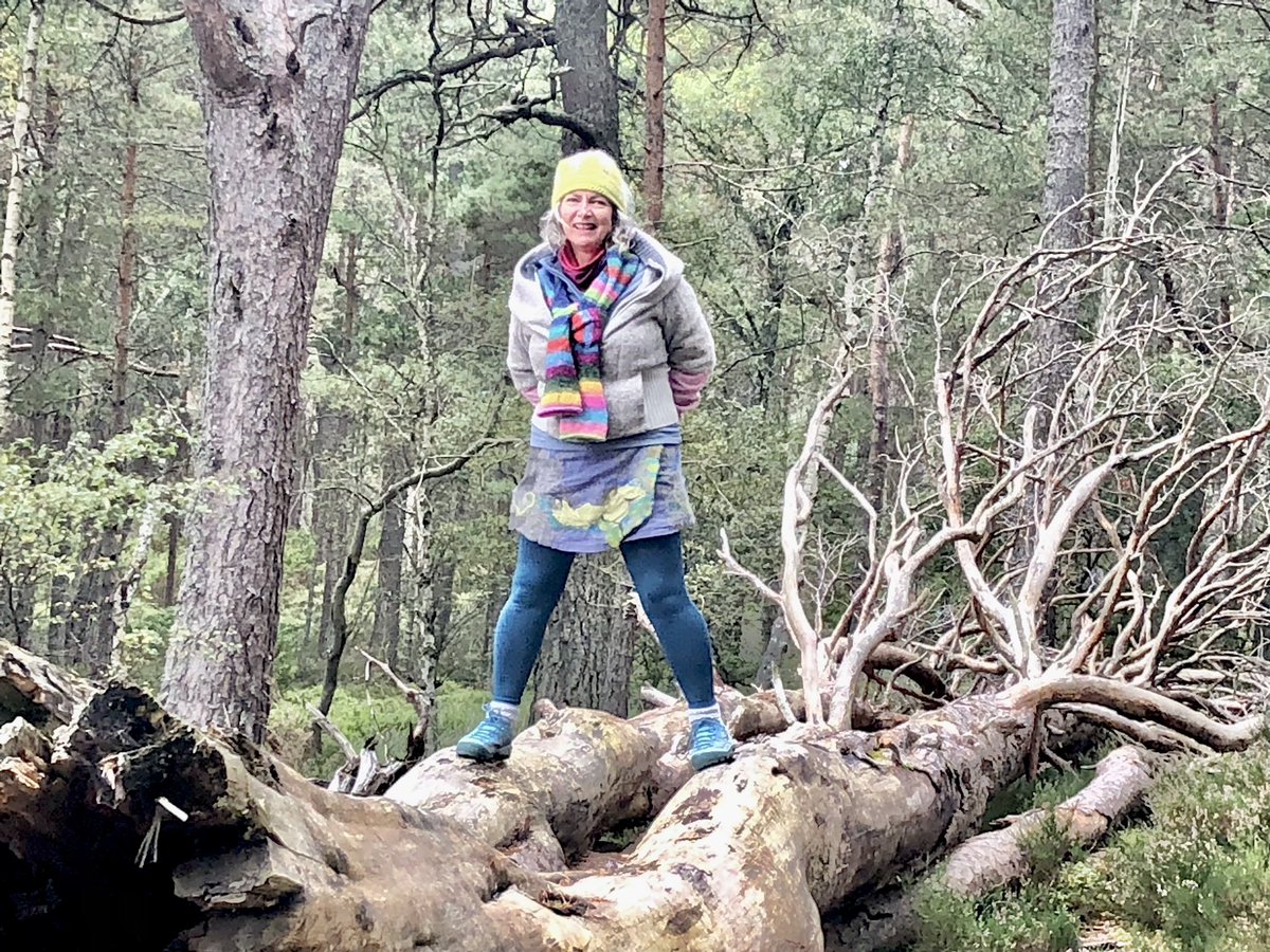 LoafFaceCoop's tweet photo. #CairngormsNationalPark the day #HRH #queensfuneral took place #contemplative #moments in #Scotland https://t.co/HwoAjkZGDg