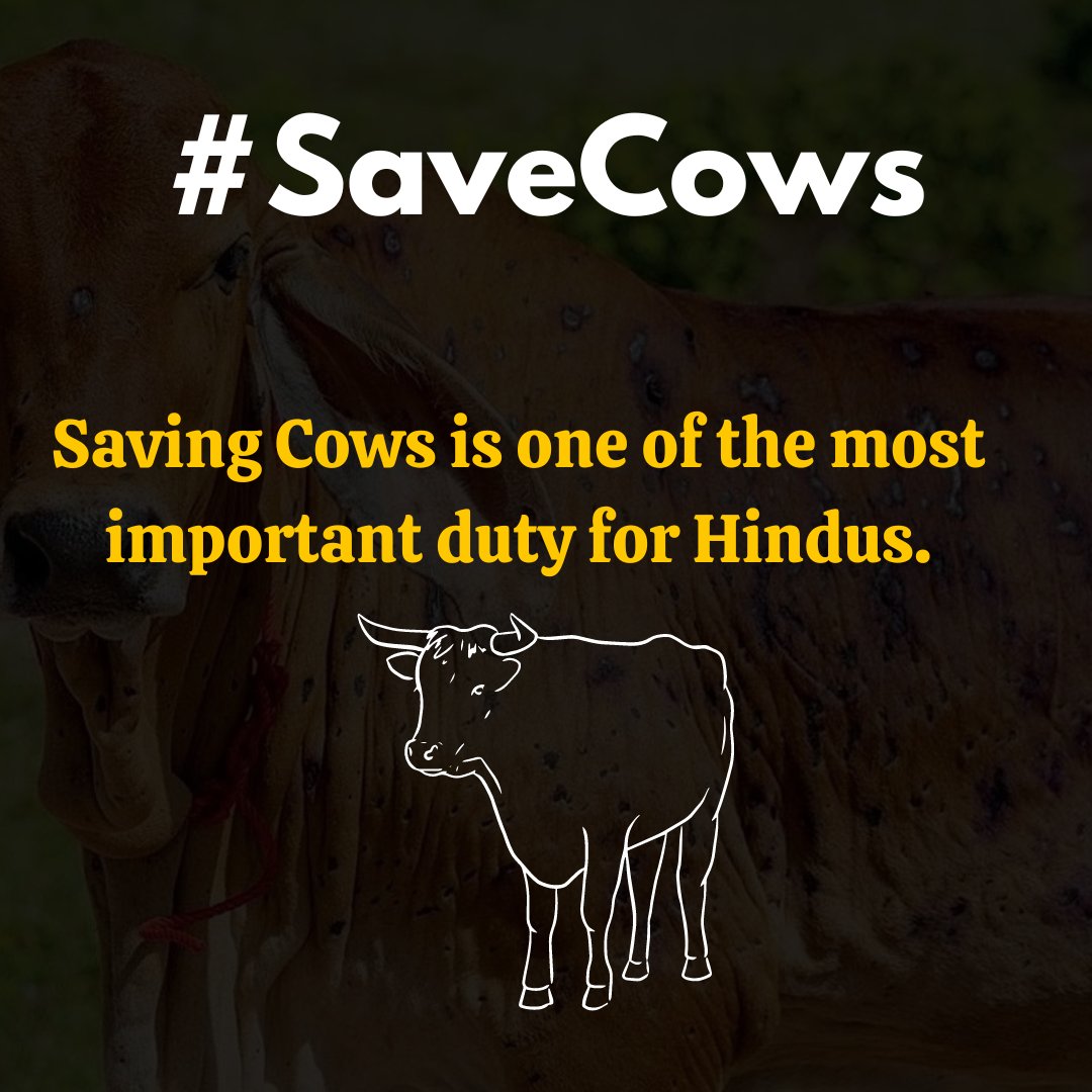 kailashraj123's tweet photo. One must not forget how our ancestors protected them. Their actions must be continued without any second thought. We can't let this misery happen in front of our eyes.

#SaveCows 
#savecows https://t.co/4w6d10JSlU