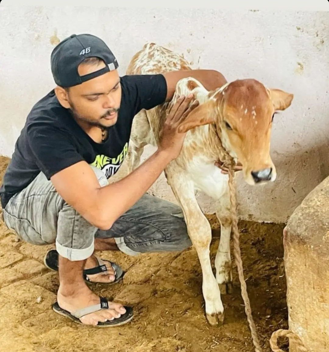 lionofhamidpur's tweet photo. "गाय हमारी माता है" is the slogan most of us have heard while growing up.
Today our Mother is in severe danger due to Lumpy Virus.
Who else will make efforts to protect them other than people who consider them as Mother? We demand quick Vaccine Delivery by Govt.

#SaveCows https://t.co/kJIcP0Wlbq