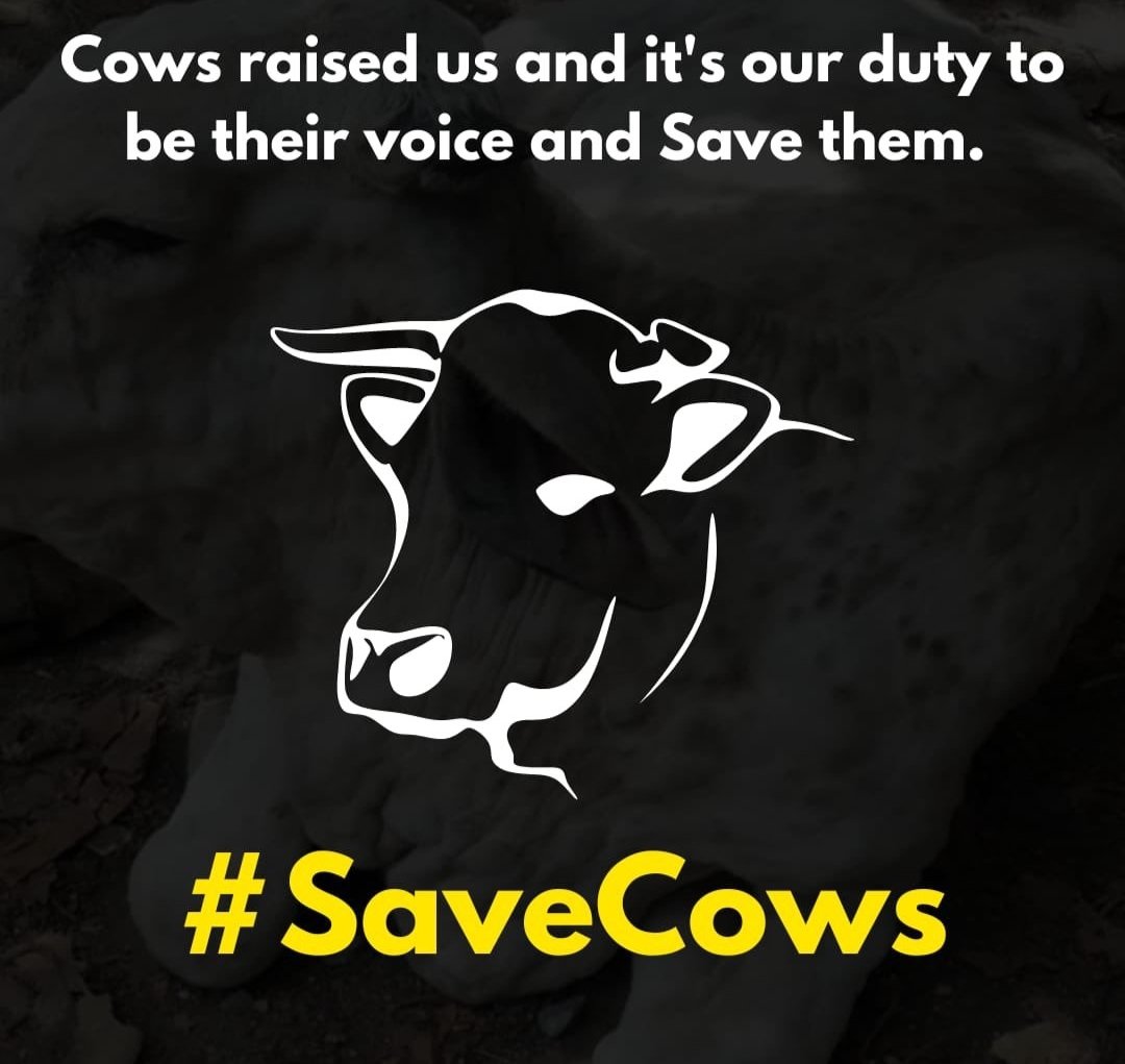Im_m9j's tweet photo. #SaveCows #SaveCowSaveVillages #LumpyVirus https://t.co/vHjD378WBB