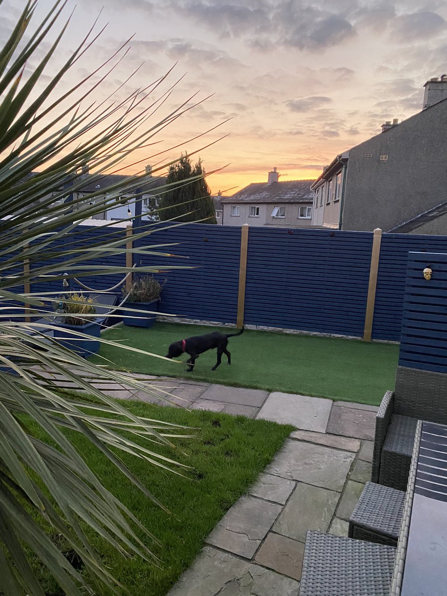 LauraBurrows89's tweet photo. Very autumnal this morning 😍
Good Morning everyone! Have a great Wednesday xx
#autumn #garden #gettingchilly #fresh #favouriteseason #dogsofinstagram #murphy #earlybird #canigobacktobed #tiredmum https://t.co/KuAbCD1fjg
