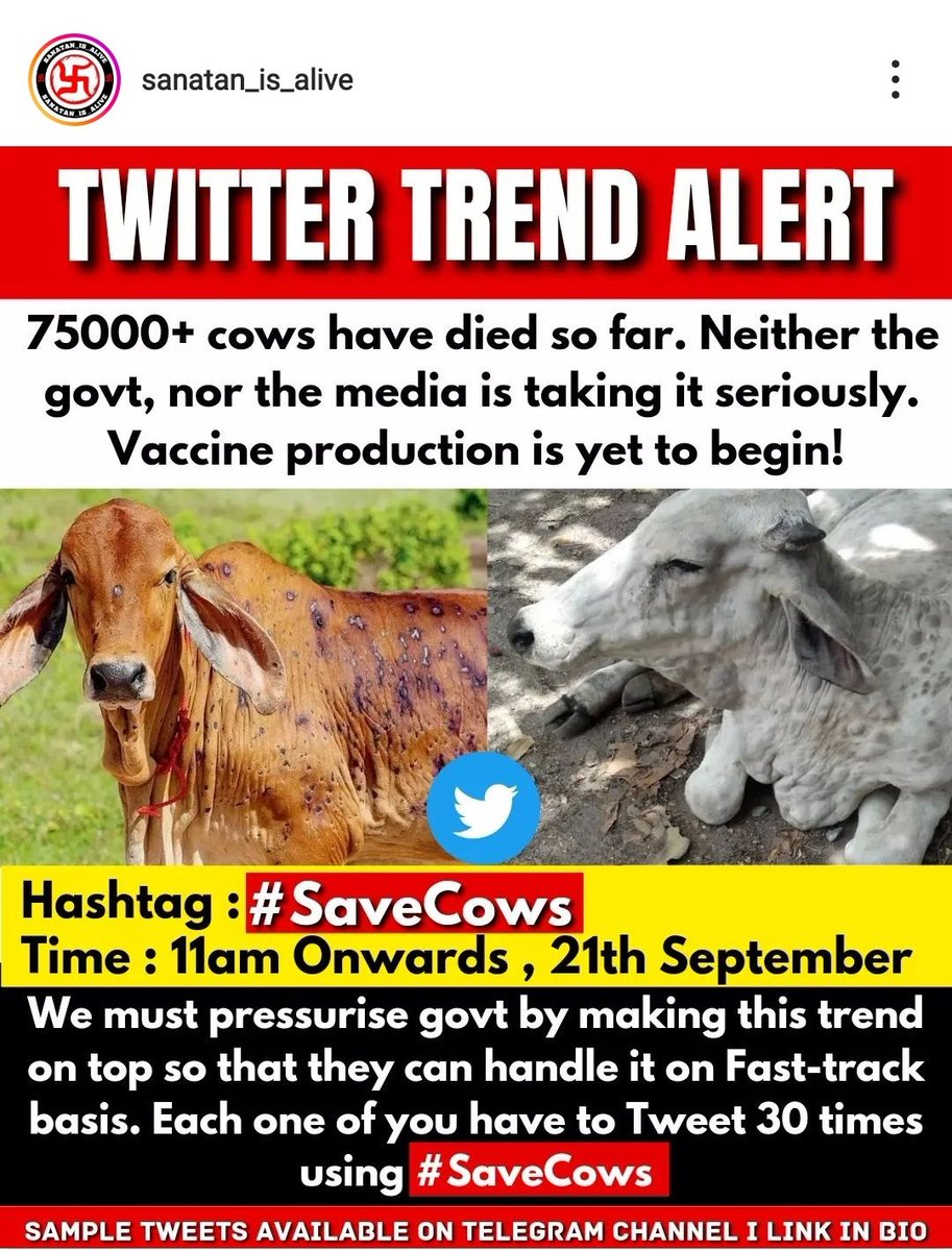 ArunKum75974731's tweet photo. #SaveCows we need to rise voice for cows, without cows we can't leave on planet those are important role have on earth, please government take action on that virus. #government @PMOIndia @WHO @ https://t.co/qRfoIyuJGC