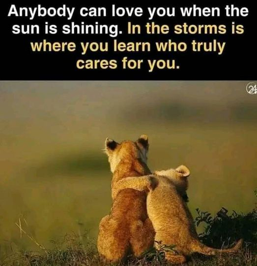 OraundR's tweet photo. Life storms will give you the right person. https://t.co/pICRVLmG6T