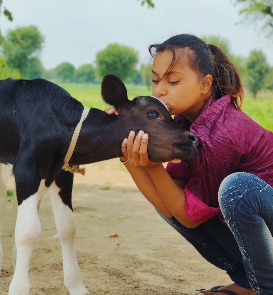 imjaymodi's tweet photo. Indeed 
#savecows https://t.co/1I4TTF2HEF