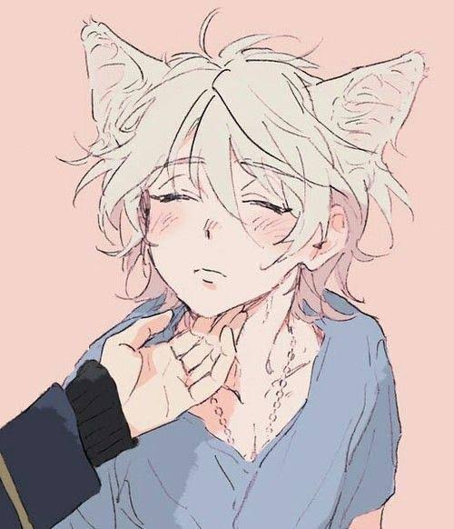 Stardust_Sigil's tweet photo. Boys only want one thing and its fucking CUTE https://t.co/cJStlaEE44