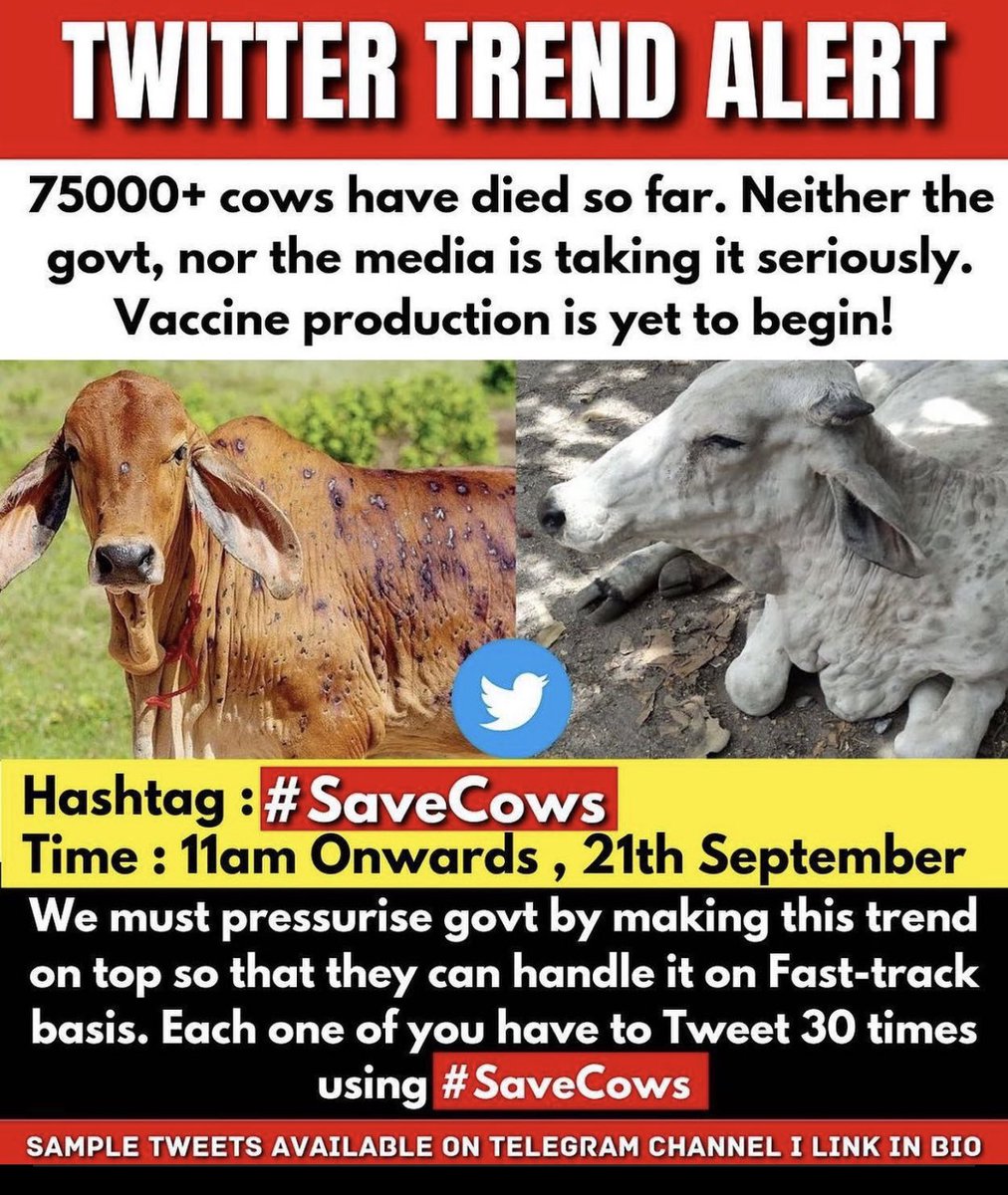 guptavatc's tweet photo. #SaveCows https://t.co/8wslgkPmwx