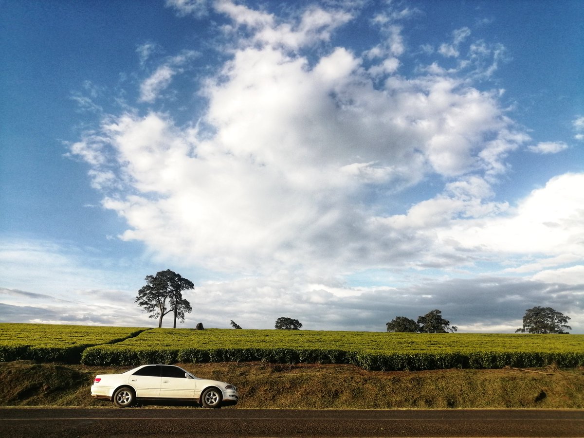 zollz's tweet photo. 1999. Toyota probably didn't think this Mark II unit would be living in Kenya 23 years later. They knew it will run for decades, they overengineered and built it with pride.

RTs on this Tweet wins it a paintjob thanks to @MpgKe  
#SpaceYaMagari #mpgoffers #drivenbyexcellence https://t.co/GMFoMVF1Vc
