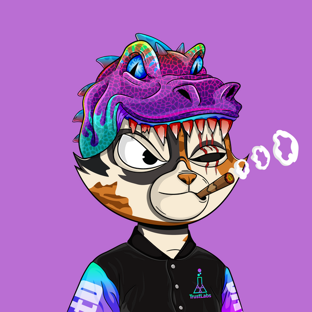 MMadDog55's tweet photo. @Helloimmorgan @vizurantvis @BVDCAT_ Lots of cool cats in need of good homes 😎 https://t.co/efGRlW5GJZ