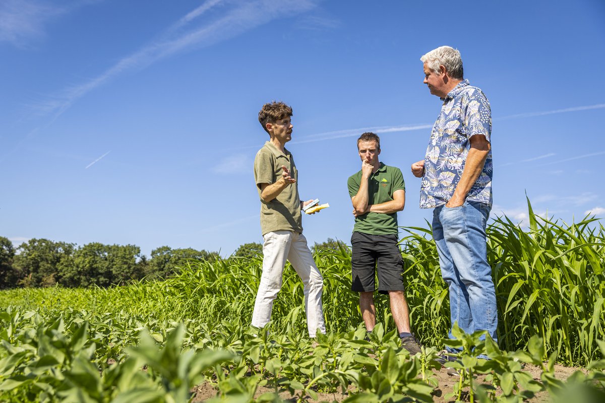 𝐑𝐄𝐌𝐈𝐍𝐃𝐄𝐑 - 30 september vindt op de Brightlands Campus Greenport Venlo een bijzonder evenement plaats: Veldsymposium – Nieuwe teelten, nieuwe waarde – Focus-Eiwitgewassen. Dit programma wordt georganiseerd vanuit Platform Nieuwe Teelten Limburg. ➡️ bit.ly/3LxSbOp