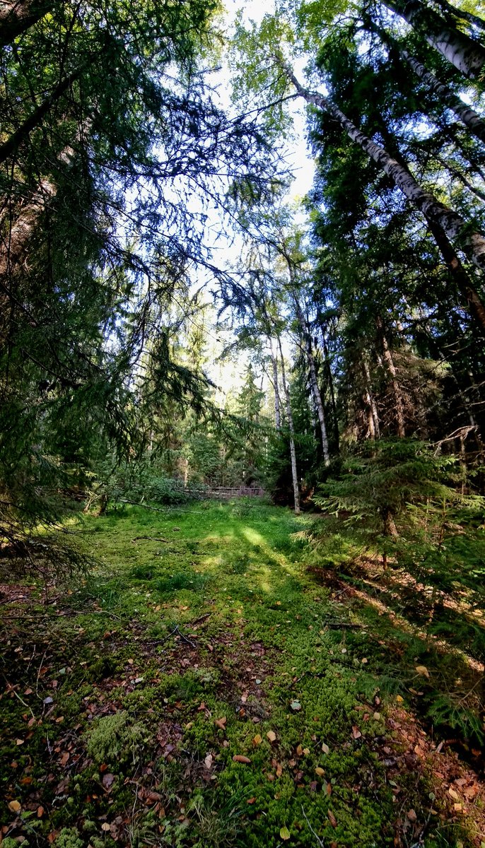 Metsähallitus - Tiedekeskus Pilke tweet media