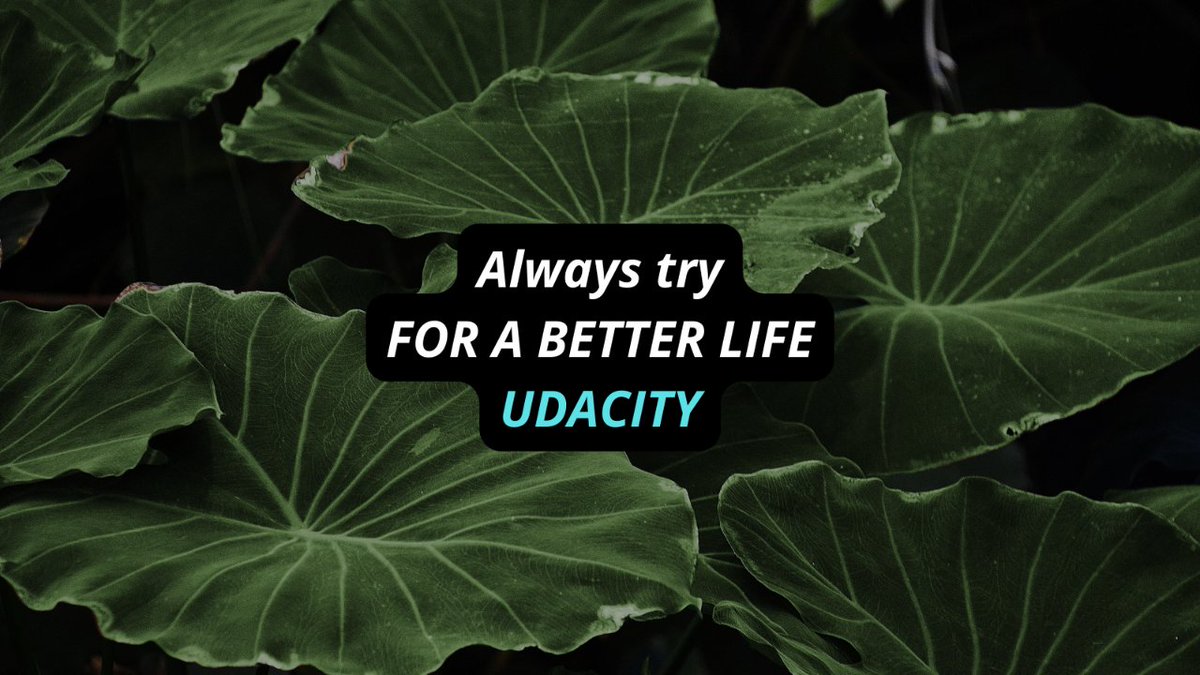 3bdallaAA1's tweet photo. Wanna make a change?! ๐
Click on the link below to see how Udacity can do it for you!๐๐
https://t.co/7aHhosCQCz
#IminDMND https://t.co/cvSF1h6xll