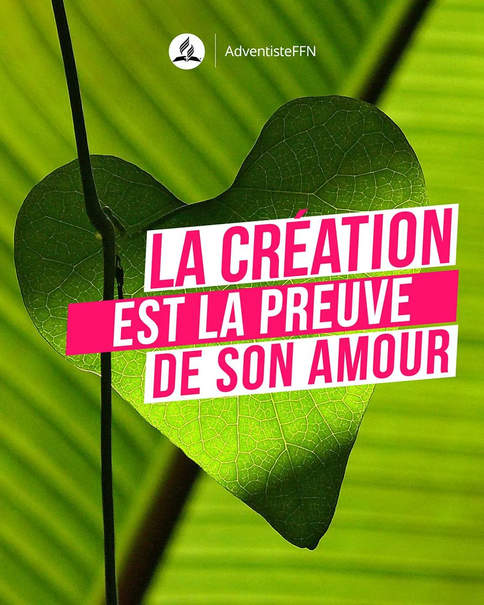 Dieu nous démontre son amour chaque jour et ce depuis la création : 
"Je te loue de ce que je suis une créature si merveilleuse. Tes œuvres sont admirables et je le reconnais bien" Psaumes 139:14 

#versetdujour #adventisteffn #advent #bible #sdachurch