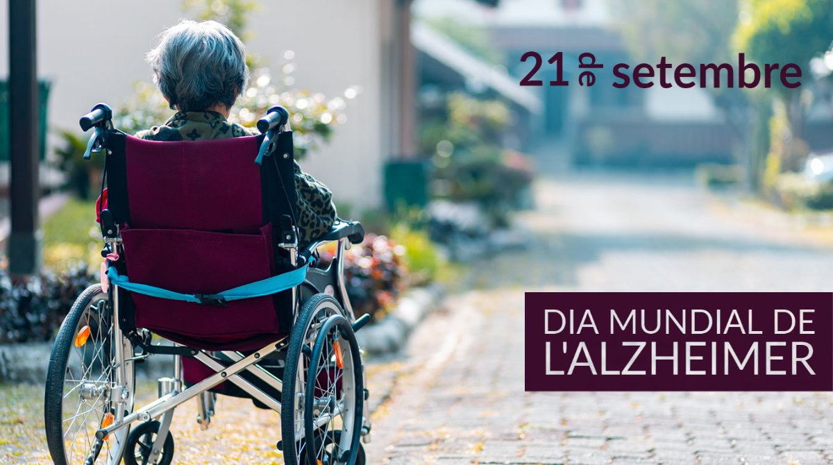 🌍 Avui és el Dia Mundial de l’#Alzheimer, la forma més comuna de demència en gent gran.
 
La commemoració vol donar visibilitat a aquesta malaltia neurodegenerativa, que té un gran impacte en la vida de les persones afectades i el seu entorn.
 
#DiaMundialAlzheimer