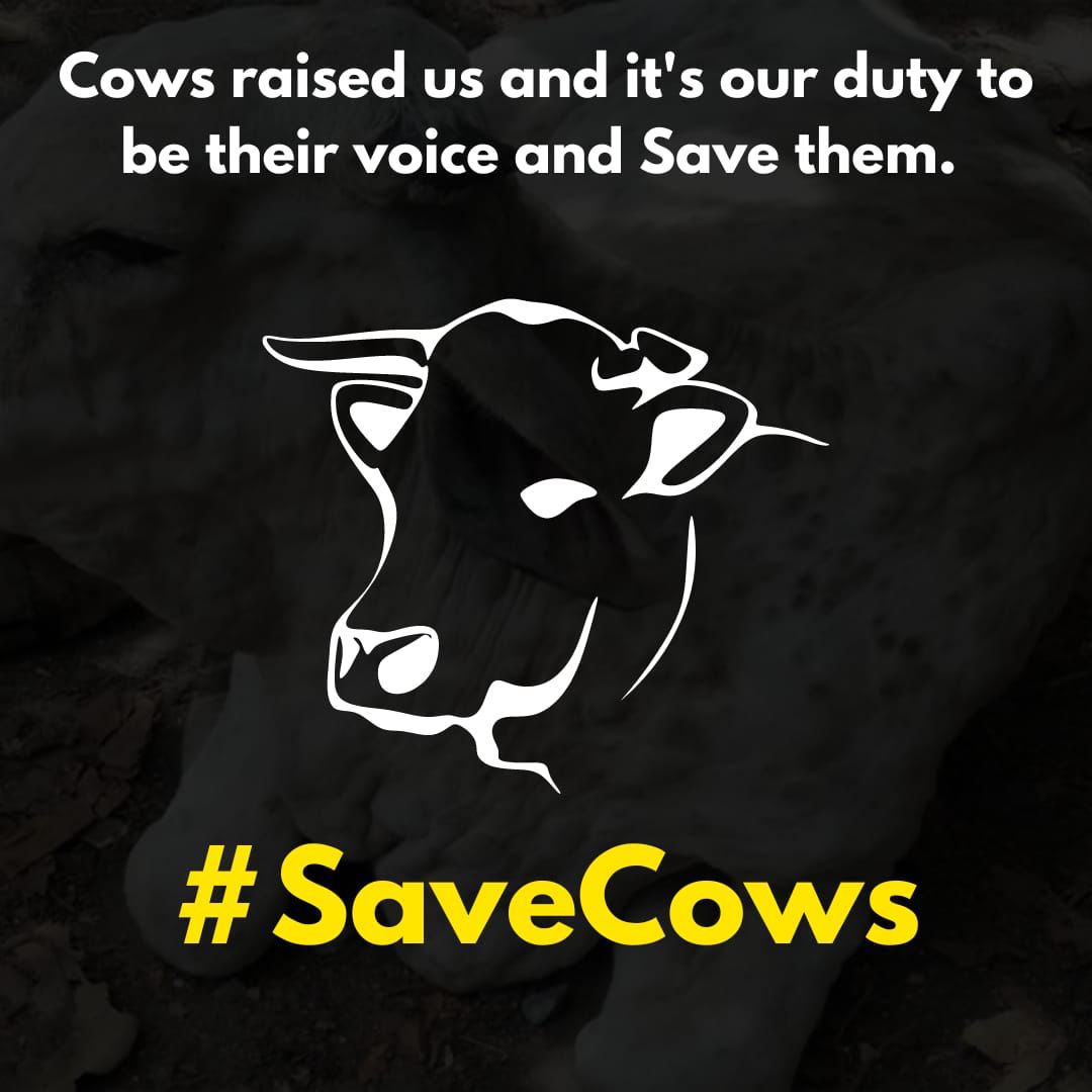 kunalda63179161's tweet photo. Lumpy is really getting out of control,
We have to take immediate action.
Respected leaders @PMOIndia @narendramodi please look into this matter. #SaveCows https://t.co/753QPkuQ5o