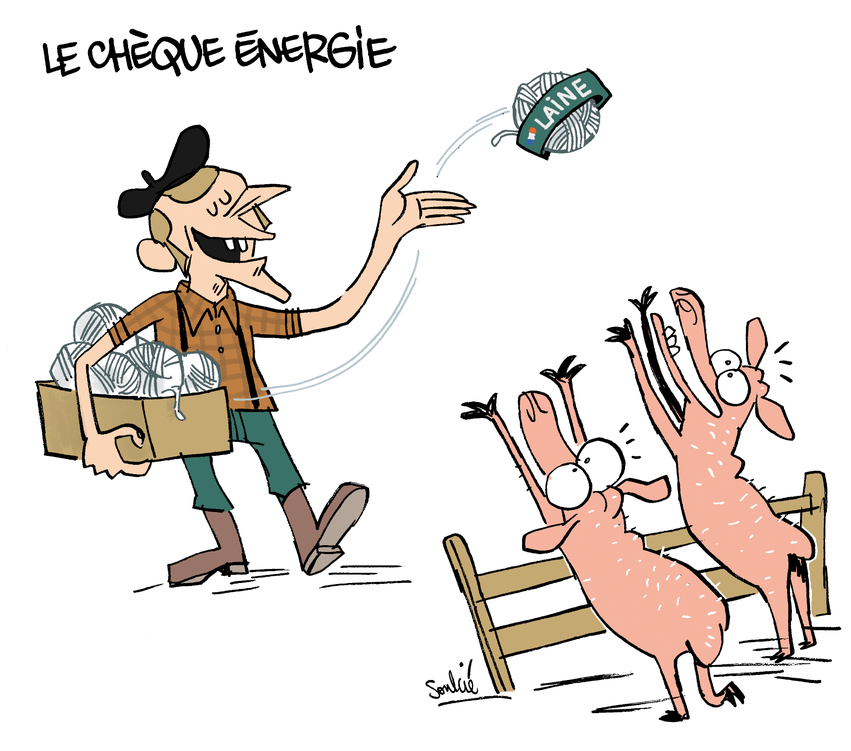 Willigse tweet media