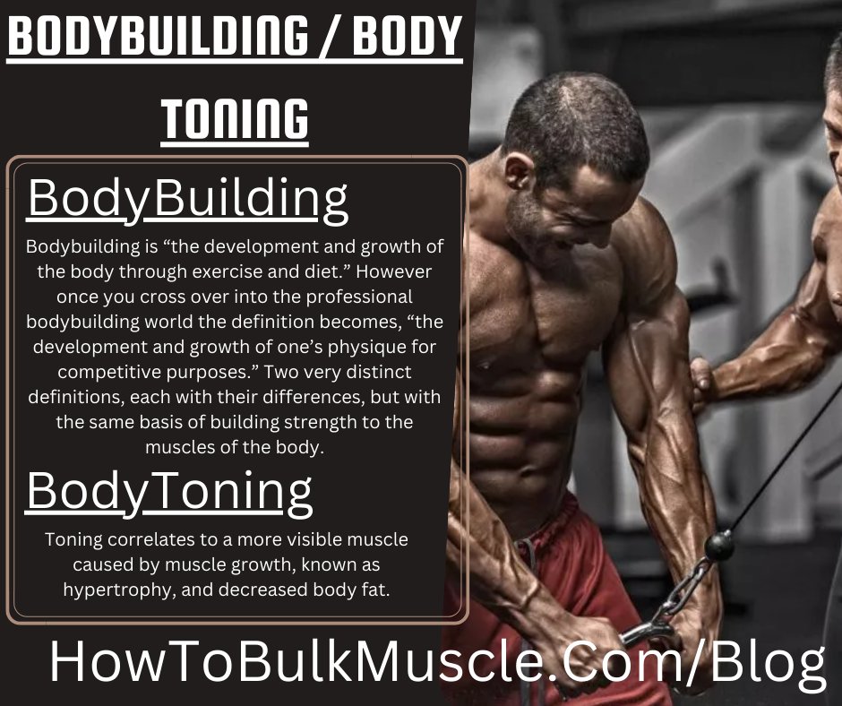 HowToBulkMuscle's tweet photo. Muscle Building vs. Muscle Toning
#muscles 
Are there differences between these two? 
How are these two vital to my #fitness? These questions might be running through your mind but fortunately, we have what could enlighten you on this

Check this out>>> https://t.co/mZKorqQv59 https://t.co/L0eyQkaZW9