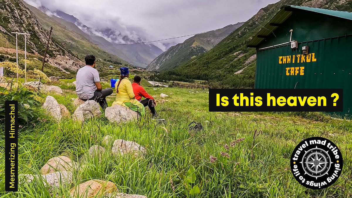 Travel Mad Tribe tweet media