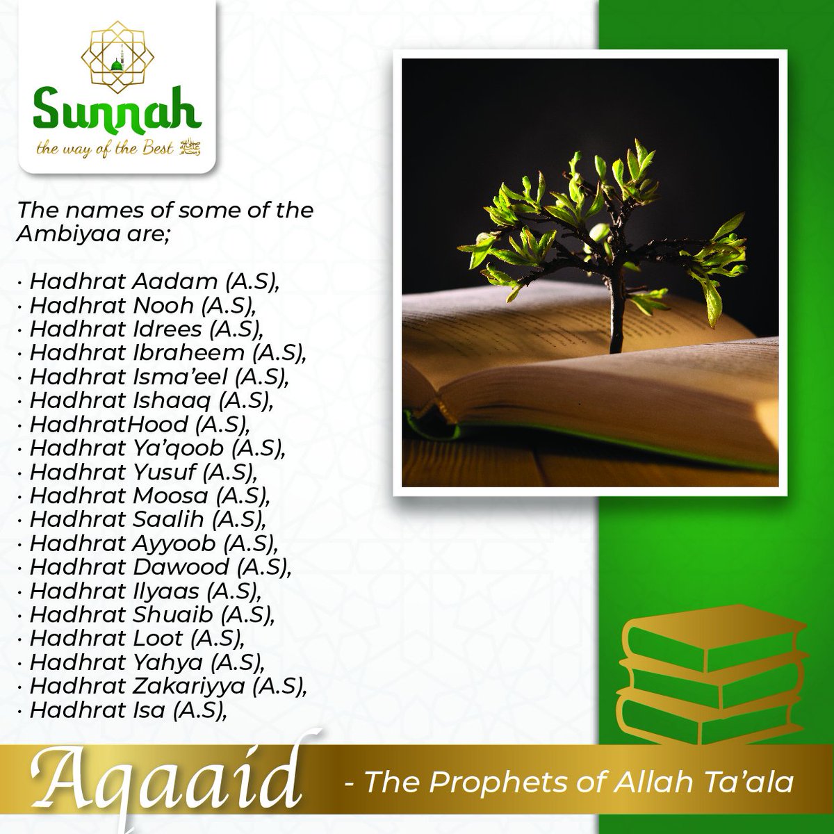 TheWayOfTheBest's tweet photo. #Aqaaid
Names of some of #Prophets of #Allah
May #peace be upon them all https://t.co/RSXr8gAQrT