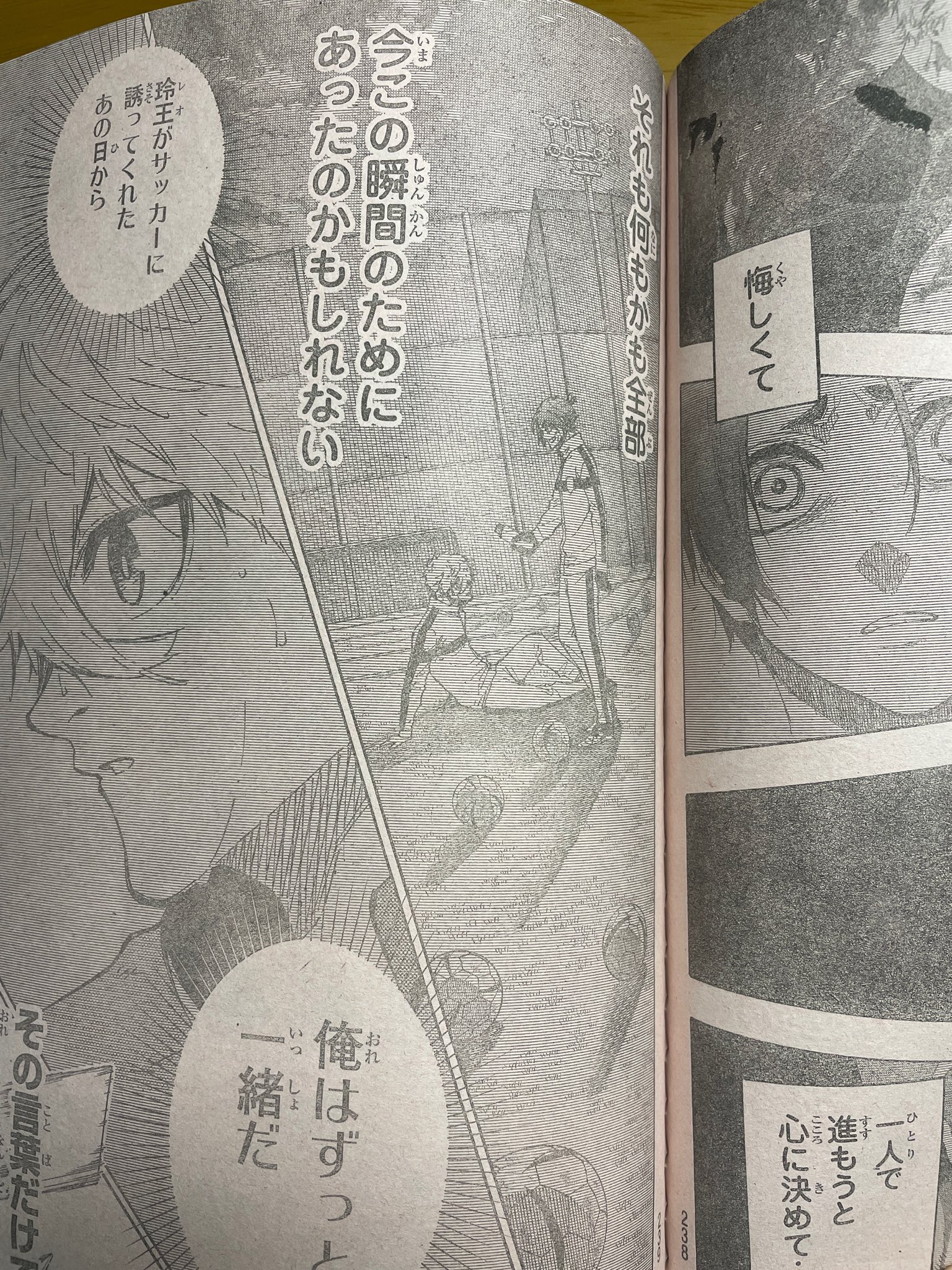 AL653】ユッカ リギダ 希少 超超ブルー個体 ※一部の葉に傷み有り。 AL653】ユッカ リギダ 希少 超超ブルー個体 ※一部の葉に傷み有り。