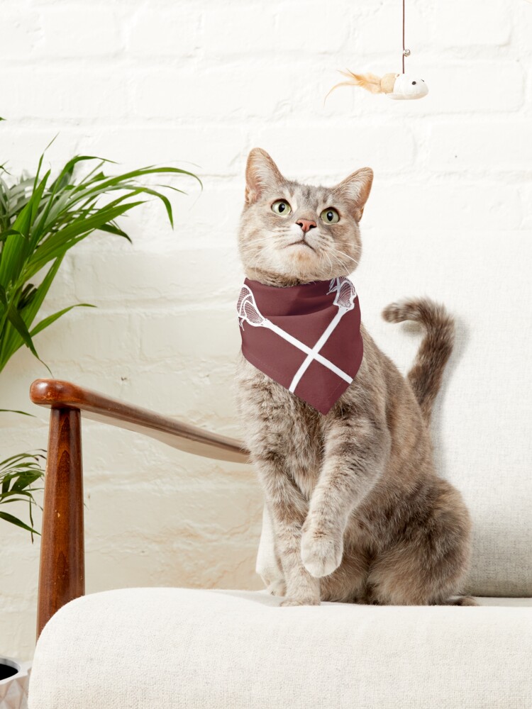 nirvanahxmc's tweet photo. "Look at this distinguished gentleman, look at the way he is sitting"
Get the best look for your cat 😻
#Lacrosse #Pets #Cat  https://t.co/FMuvPXppTP https://t.co/xjHm3CWML9