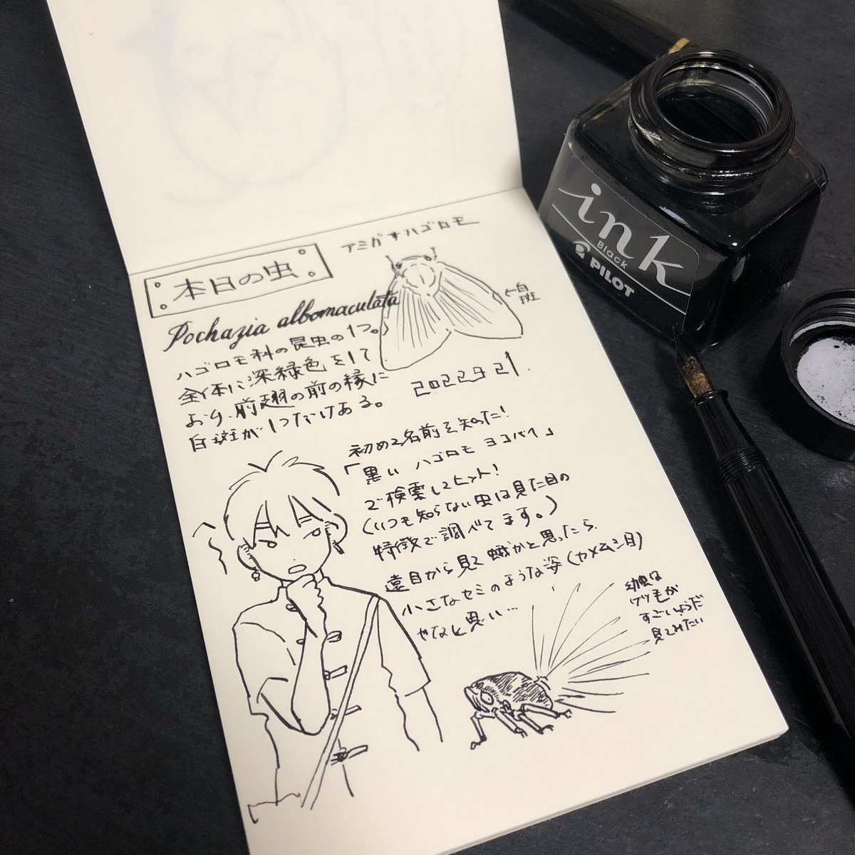 #リャン散歩虫 また1つ賢くなった! 