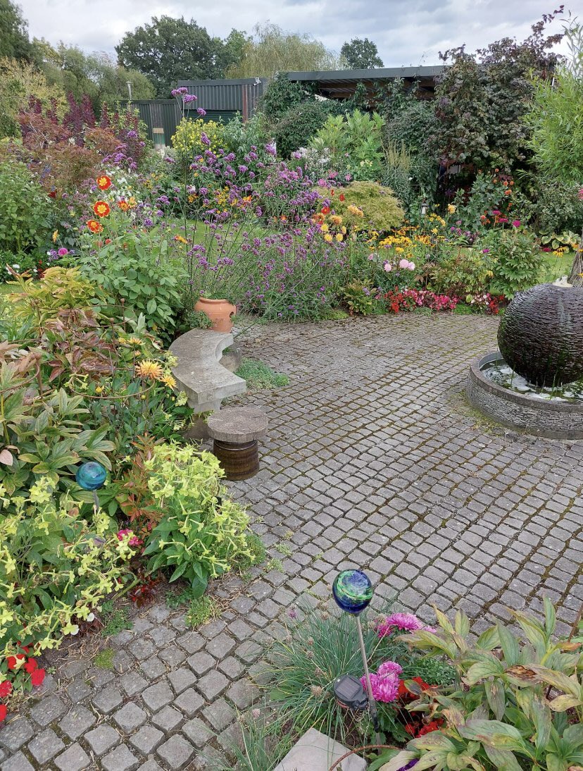 Good morning all, we still have lots of colour here <a href="/plantsupportsuk/">Plant Supports UK</a> , hopefully you are all still enjoying your gardens. We are really busy getting ready for <a href="/MalvernShows/">RHS Malvern Spring & Autumn Shows</a> running from the 23rd - 25th of September. Be sure to come and see us on stand 215