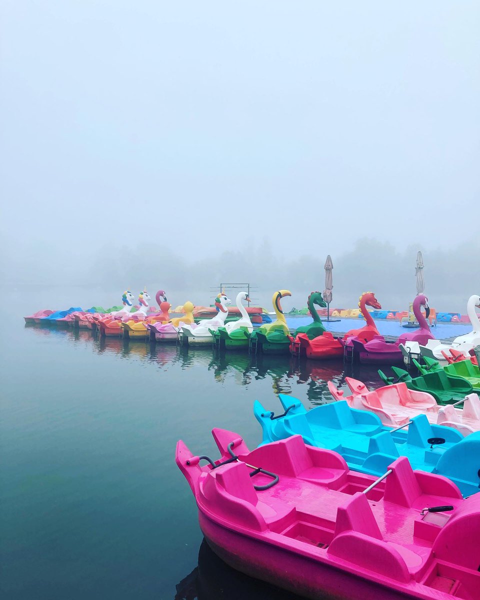 timmuellerde's tweet photo. Color your day.
Nice run out in the Pegnitz valley in Nuremberg.
#run #runner #running #marathon #trailrun #ultrarunning #cycling #ironman #ironmantraining #triathlon #triathlonlife #racing #fitness #fitnessmotivation #flexivegan #vegan #de #nuremberg #pegnitz #pegnitztal https://t.co/hwpyzYSSGs