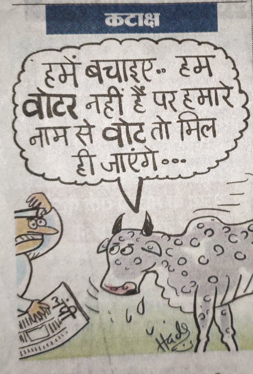 KaushikChaturv4's tweet photo. I wish gau mata ke pass bhi voter ID hoti to aaj unki esi durgati nahi ho rahi hoti
@AskAnshul @randm_indianguy   #SaveCows @wokeuphindu https://t.co/BrLLnOV36v
