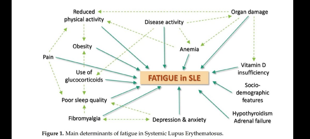 Lupusreference's tweet photo. This one ⬇️ is really helpful to understand #Fatigue in #LUPUS #SLE (from our review: https://t.co/d1Sq2txIEg) https://t.co/afd1qHbOdx