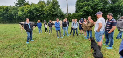 ABCD Delegation in Finistère - DAY TWO
Big day w/ three visits done! Visit of Trégarvan's farm mixing maze and grass in the morning and then visit of two organic farms in the afternoon in Ploéven &amp; Plonévez-Porzay. Thankfully, we had time to stop at a crêperie for a lunch break!