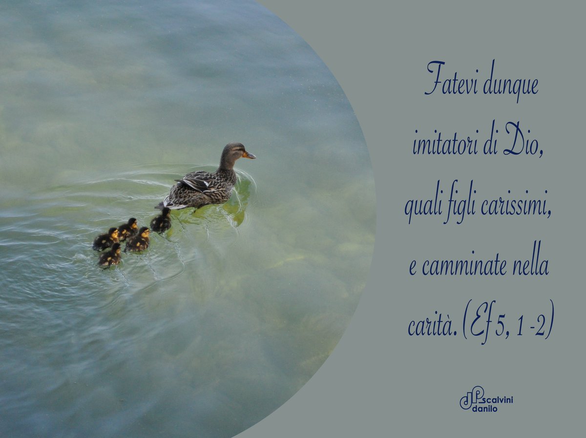 pDaniloScalvini's tweet photo. #versetti #versettibiblici #bibba #caritร https://t.co/LHvVb1AtXw
