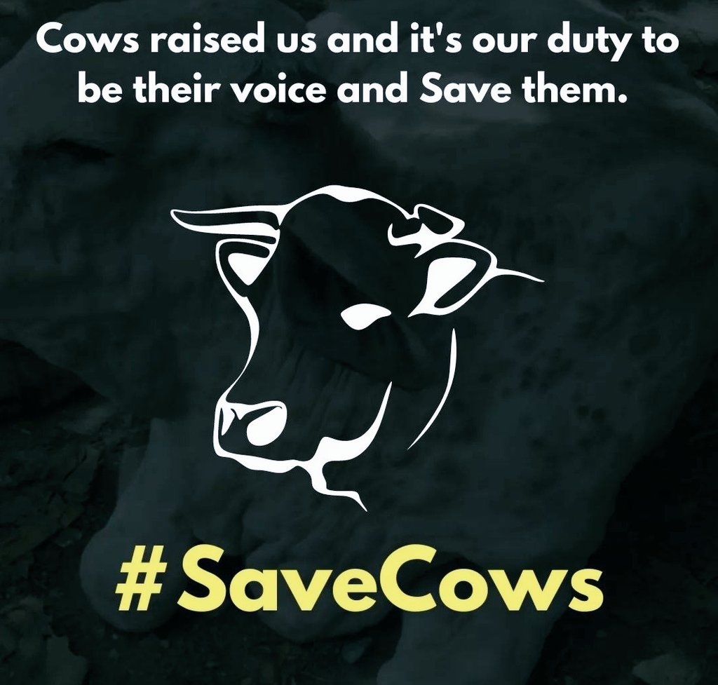 iam_brahmin's tweet photo. In the name of Lord Krishna Please #SaveCows #SaveCowSaveIndia  🐮🙏🐮 https://t.co/aSNhy1waO2