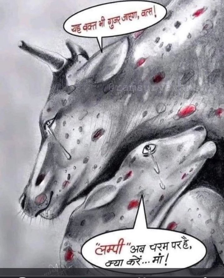 PavanKuda7's tweet photo. Don't let these politicians use Tax-Payers money only for their electoral campaigns and to distribute freebies. 

It must be used for the society and Cows have been an important part of the Hindu Society.

Government must act responsibly without any delay now.

#SaveCows https://t.co/mbjiTmblkw