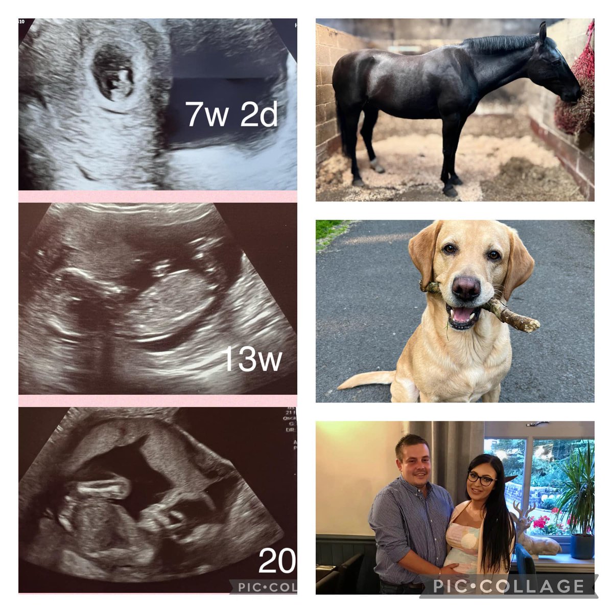 My little family &amp; I wouldn’t change it for the world ❤️🥰😍