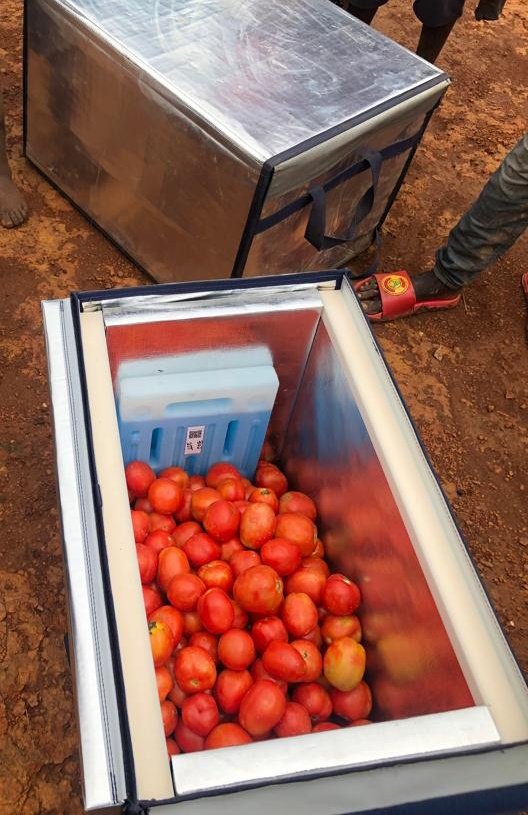 AkezaGermaine's tweet photo. FACTS!
30% of food produced for consumption is lost or wasted along the supply chain every year.
~ 1.3 billion tons of food doesn't ever reach the consumer.
#MoFresh box with cold plates inside keeps produce freshness between 2-3 days.
Learn more https://t.co/K69wZvPChW https://t.co/s3BOsA6S5x