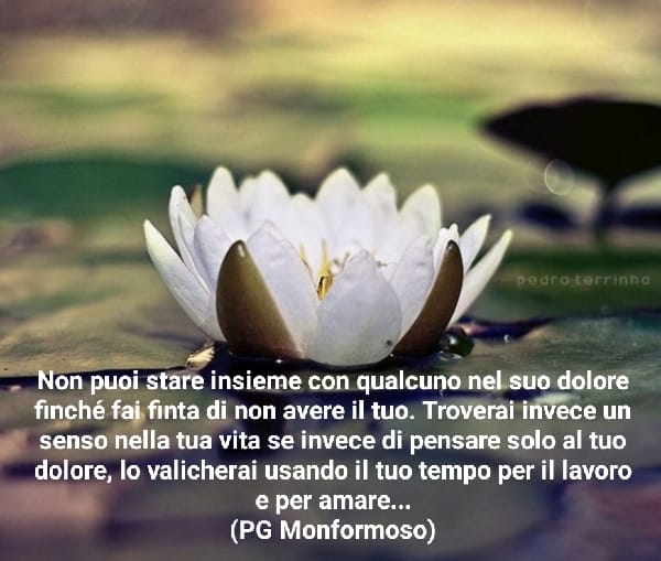 pagiomonfi's tweet photo. Guarda la vita in relazione ad altri e vivi...

#pagiomonfi https://t.co/n6QycJ6tNi
