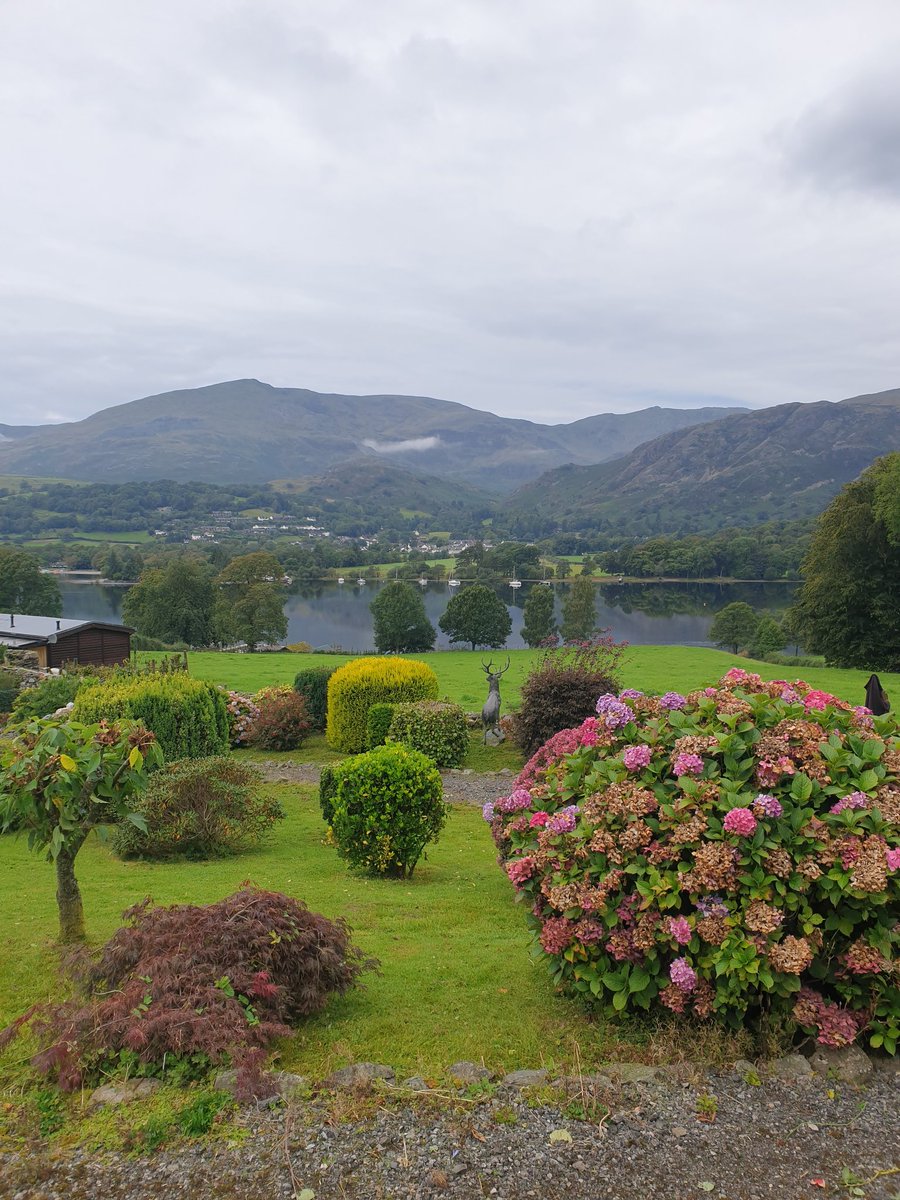 Garry Benson tweet media