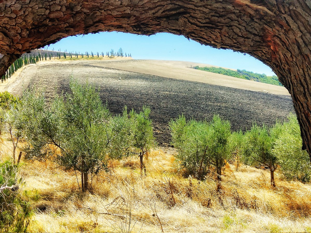 Benvenuto #Autunno 🍂🍃🍄🌰

#gius01pal #giuseppepalladino #puglia #regionepuglia #rocchettasantantonio #photography #actually #volgoitalia #weareinpuglia #oppo #oppofindx3neo #21settembre #montidauni #settembre #september #igerspuglia #visitpuglia #autumn