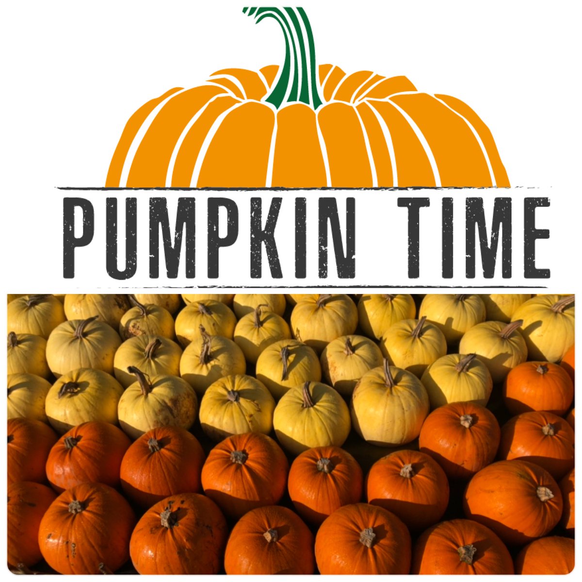 Hampshire Fare (@hampshirefare) on Twitter photo It’s coming.. <a href="/The_Sunnyfields/">Sunnyfields</a> #PumpkinTime more here: bit.ly/3Lvhxwh A ticket only event on a farm throughout October. <a href="/LoveBritishFood/">Love British Food</a> It’s coming.. <a href="/The_Sunnyfields/">Sunnyfields</a> #PumpkinTime more here: bit.ly/3Lvhxwh A ticket only event on a farm throughout October. <a href="/LoveBritishFood/">Love British Food</a>