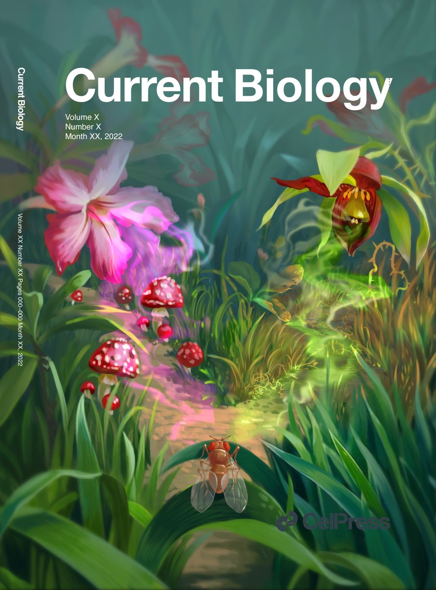 Moshe Parnas (@mosheparnas) on Twitter photo Now out <a href="/CurrentBiology/">Current Biology</a> sciencedirect.com/science/articl…
We would like to thank our editor Cyrus Martin and the reviewers for efficient and pleasant review process.
Check out our suggested cover. Now out <a href="/CurrentBiology/">Current Biology</a> sciencedirect.com/science/articl…
We would like to thank our editor Cyrus Martin and the reviewers for efficient and pleasant review process.
Check out our suggested cover.