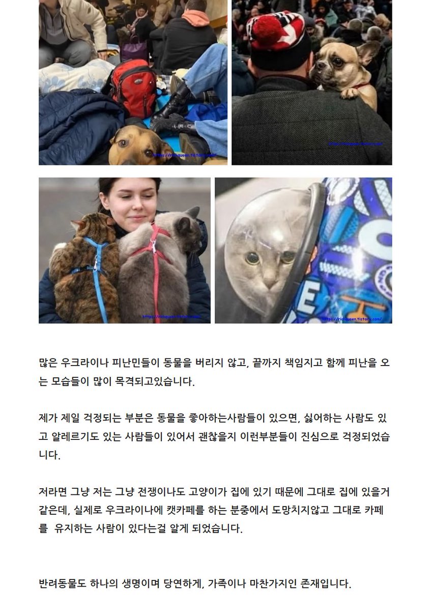 qwer56568's tweet photo. 우크라이나 전쟁속에서 무력할 수밖에 없는 동물들을 위한 기부도 진행되고 있어요...
반려동물을 데리고 대피하지 못해 대피를 포기하고 죽음을 선택하는 사람도 있다고 합니다
쏟아지는 폭격속에 길동물들도 마찬가지겠죠 동물원도요
https://t.co/7kBFVzvAOM (어렵지 않아요ㅠ 여기 말고도 많아요) https://t.co/n3LAgOaKGs